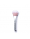 Skin2skin Powder Blush Brush - Pinceau Blush RMS Beauty